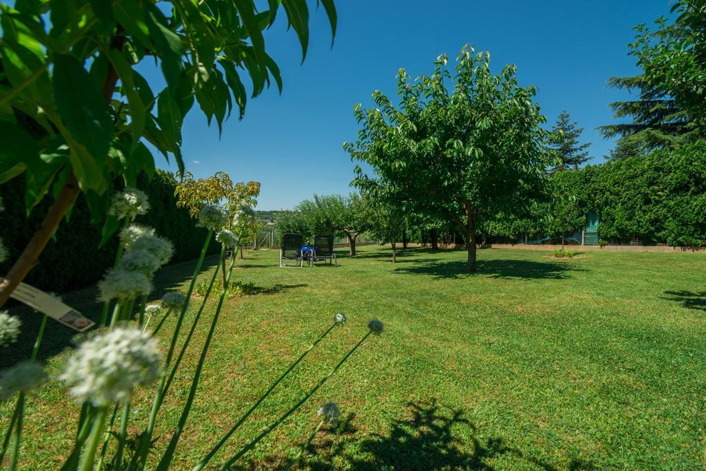Nemes Apartmanhaz Heviz Bagian luar foto